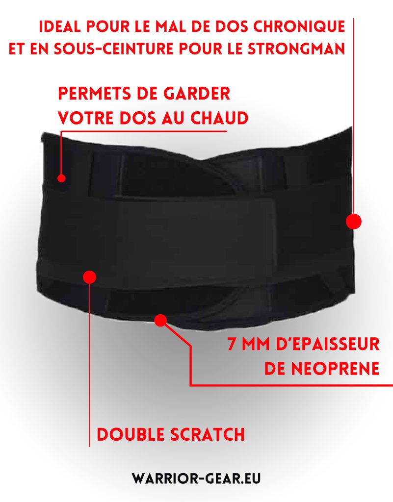 Ceinture Lestrée Musculation - Avec Chaîne Acier Et 2 Mousquetons, Supporte Jusqu'à 100kg, Réglable