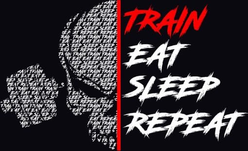 krigare redskap tåg äta sömn upprepa