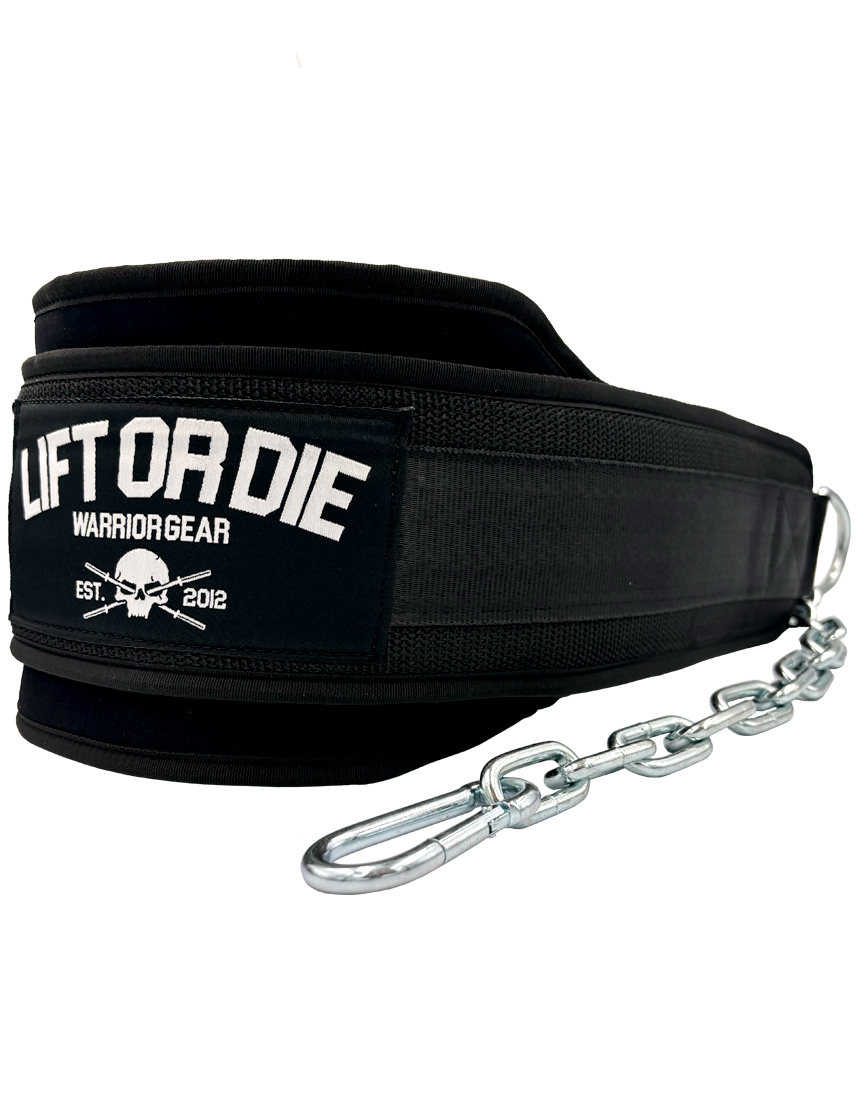 Cintura per trazioni e dip Warrior Gear - cintura con pesi di alta qualità - cintura per dip - cintura per trazioni - cintura per allenamento in strada - cintura con pesi per dip e trazioni - cintura con pesi per allenamento di forza, fitness e bodybuilding - la migliore cintura con pesi